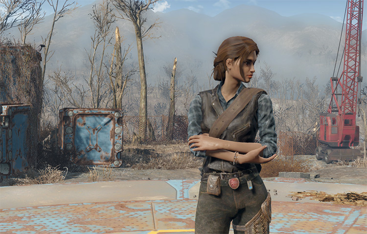 how to use mods in fallout 4 ps4